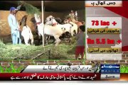 Akmal Brothers Qurbani Kay Liye Puri Team Lay Aye - wiglieys