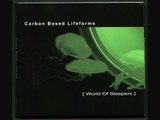 Carbon Based Lifeforms - Vortex