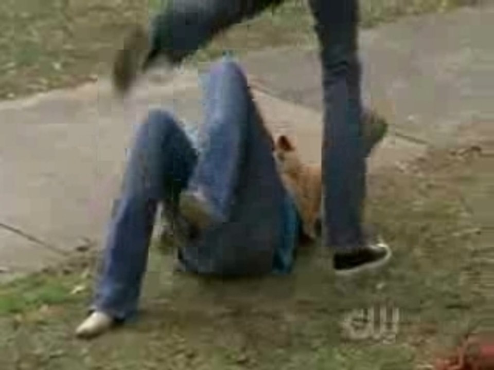 Peyton and Brooke Fight