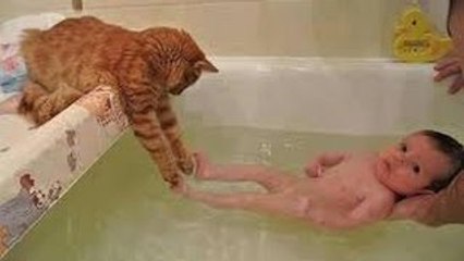 Komik iş makinası kazaları ,funny construction equipment accidents, 有趣的建筑设备事故 lustig 面白い建設