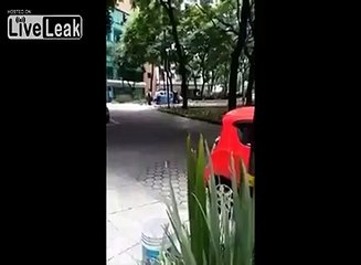 LiveLeak.com - Psycho Woman Removes Boot from Car