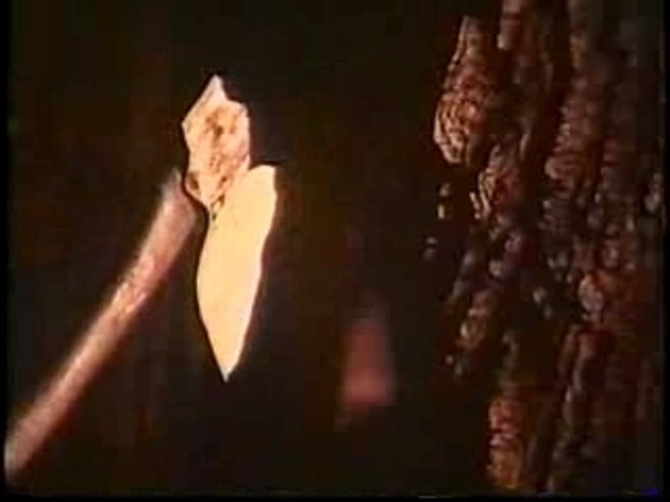 The beast must die - Paul Annett