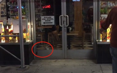 Une souris se moque d'un chat enfermé à l'intérieur