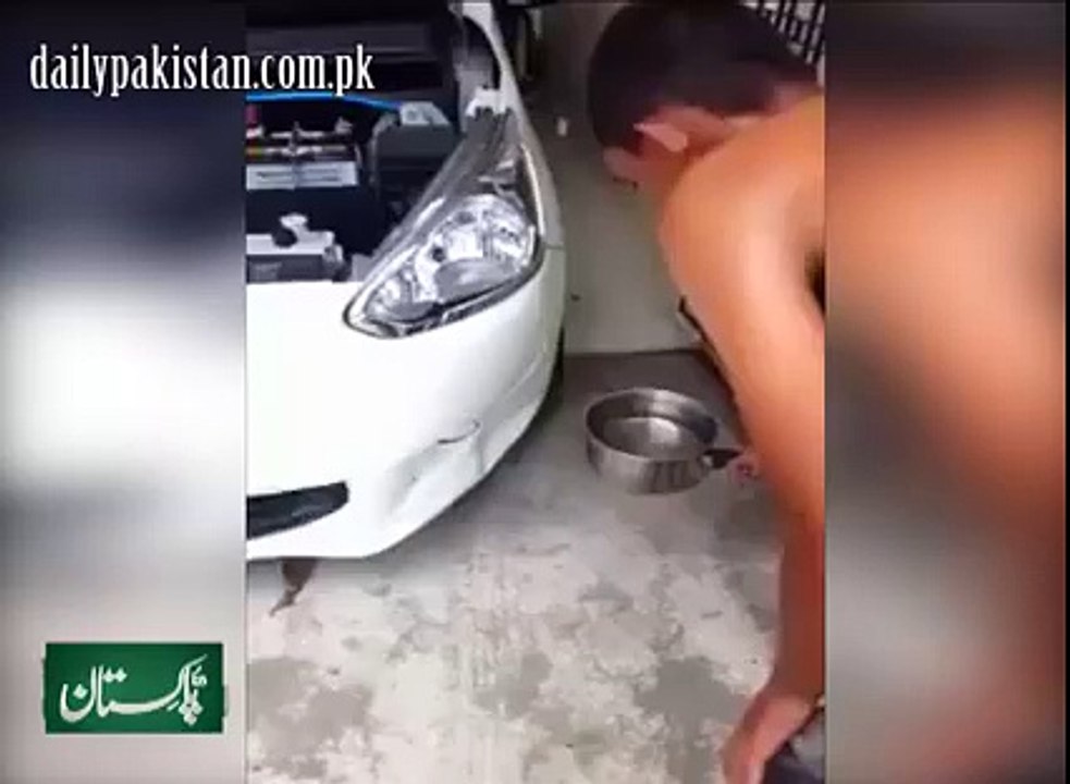 Easy And Fast Procedure To Remove Dents Of Car