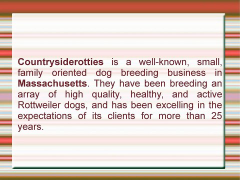 Buy Well Bred, Healthy German Rottweiler Pups At Countrysiderotties In Massachusetts