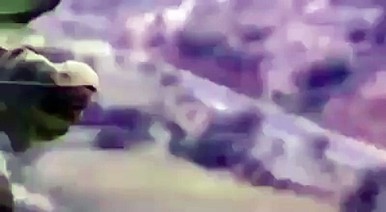 11969518_706150229516785_563962268_n