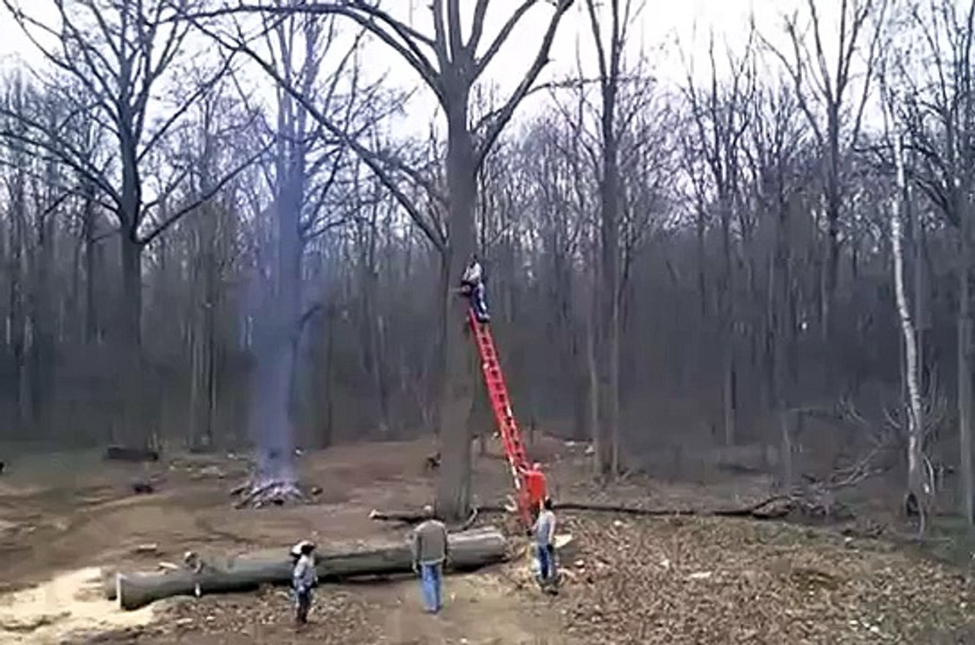 Guy cutting tree branch fail