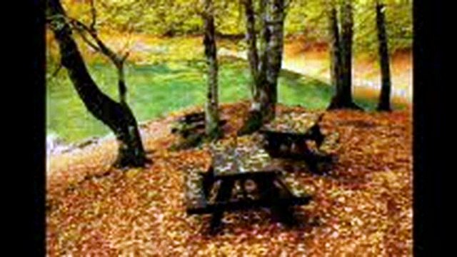 Los 4 acuerdos-El 1º acuerdo-se impecable con tus palabras