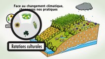 La nature : une solution au changement climatique en Île-de-France