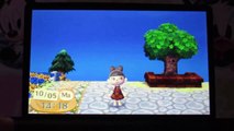 Animal Crossing New Leaf - Le vrai du faux chez Rounard - Comment les reconnaitres