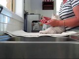 Grooming your Longhair kitten