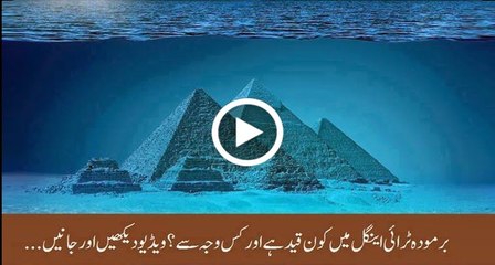 10 Weird Facts about the Bermuda Triangle