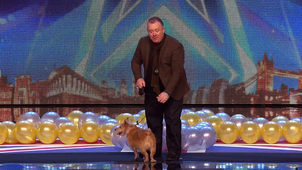 Will Mitch and Cally the Wonder Dog go out with a bang   Britain s Got Talent 2015