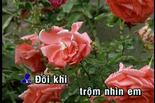 Trộm nhìn nhau - Chế Linh - karaoke HD beat chuẩn