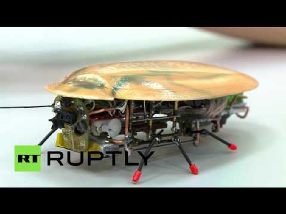 100% manmade roaches: Russian scientists create miniscule robots to tackle great tasks