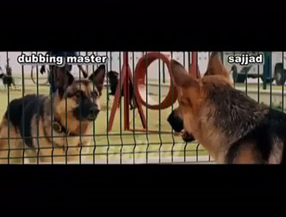 urdu doubing dogi
