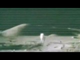 Moon Hoax Apollo 17- Remote Control Cable Trackers Seen Above The Astronaut