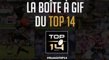 Coupe du Monde: la boîte à Gifs made in TOP 14