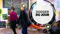 Dossier du jour : Je veux une maison en bois !