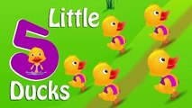 Five Little Ducks Nursery Rhyme With Lyrics - Cartoon Animation Rhymes - Songs for Children