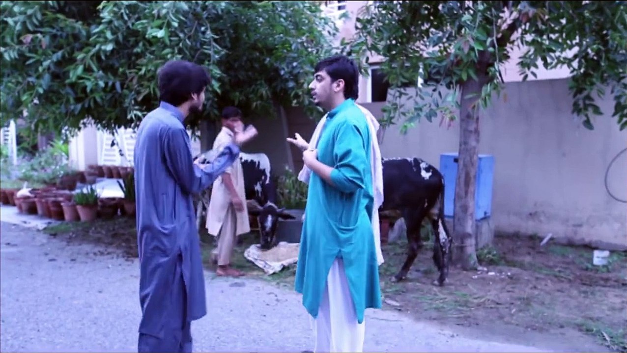 Goat or Donkey? Eid Special