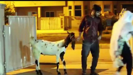 Pakistani Larkiyan Aur Bakra, Before And After Eid - Watch An Interesting Video
