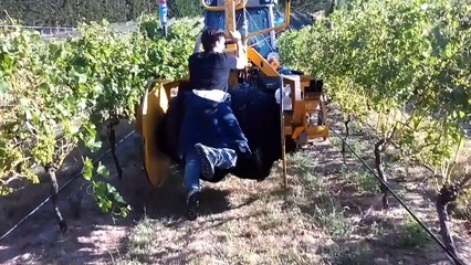 Chapitre 2_ Martinborough