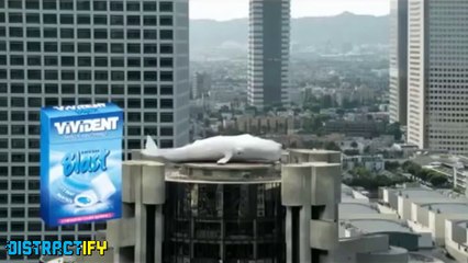 4 Hilarious Commercials With An Unexpected Twist