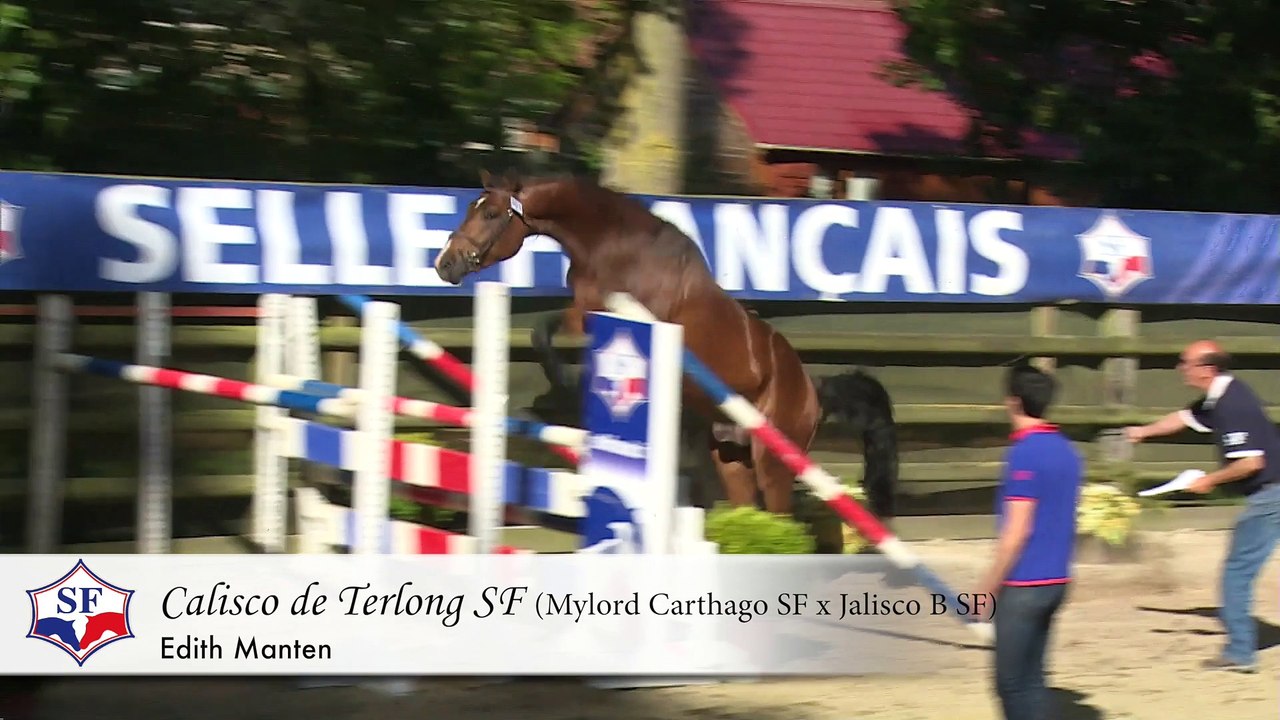 Championnat des Etalons SF 2 & 3 ans - Participants 2015 - Episode 1/6