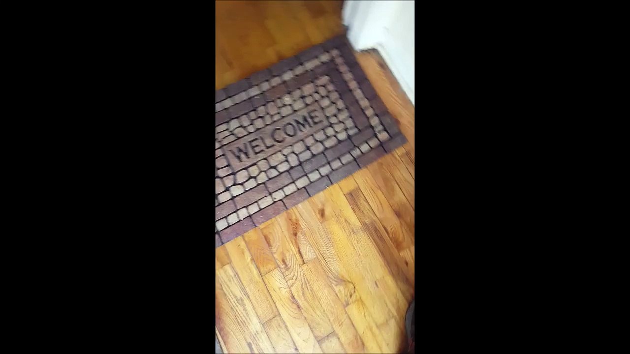 Son chien ne lui fait jamais la fête quand il rentre... Jamais!!!!