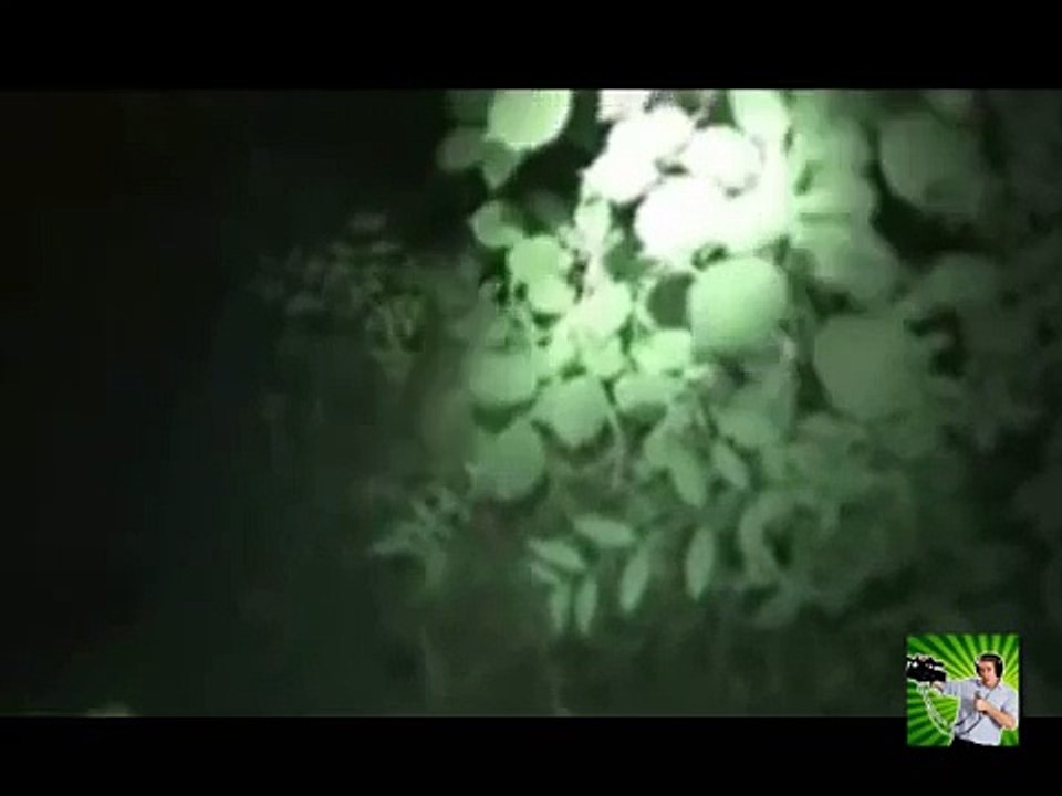 SCARY VIDEO Fallen angel or ghost caught on camera | Scary videos of ghosts caught on tape
