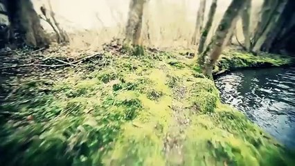 Worakls - Goodnight My Love (Original Mix)