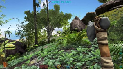 【のんびりマルチ】ARK  Survival Evolved 06