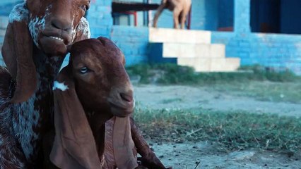 VID-20150922-WA0009.mp4