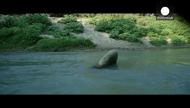 Гэри Кларк выпускает новый альбом