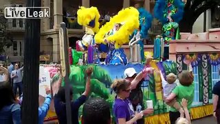 Mardi Gras 2014 New Orleans