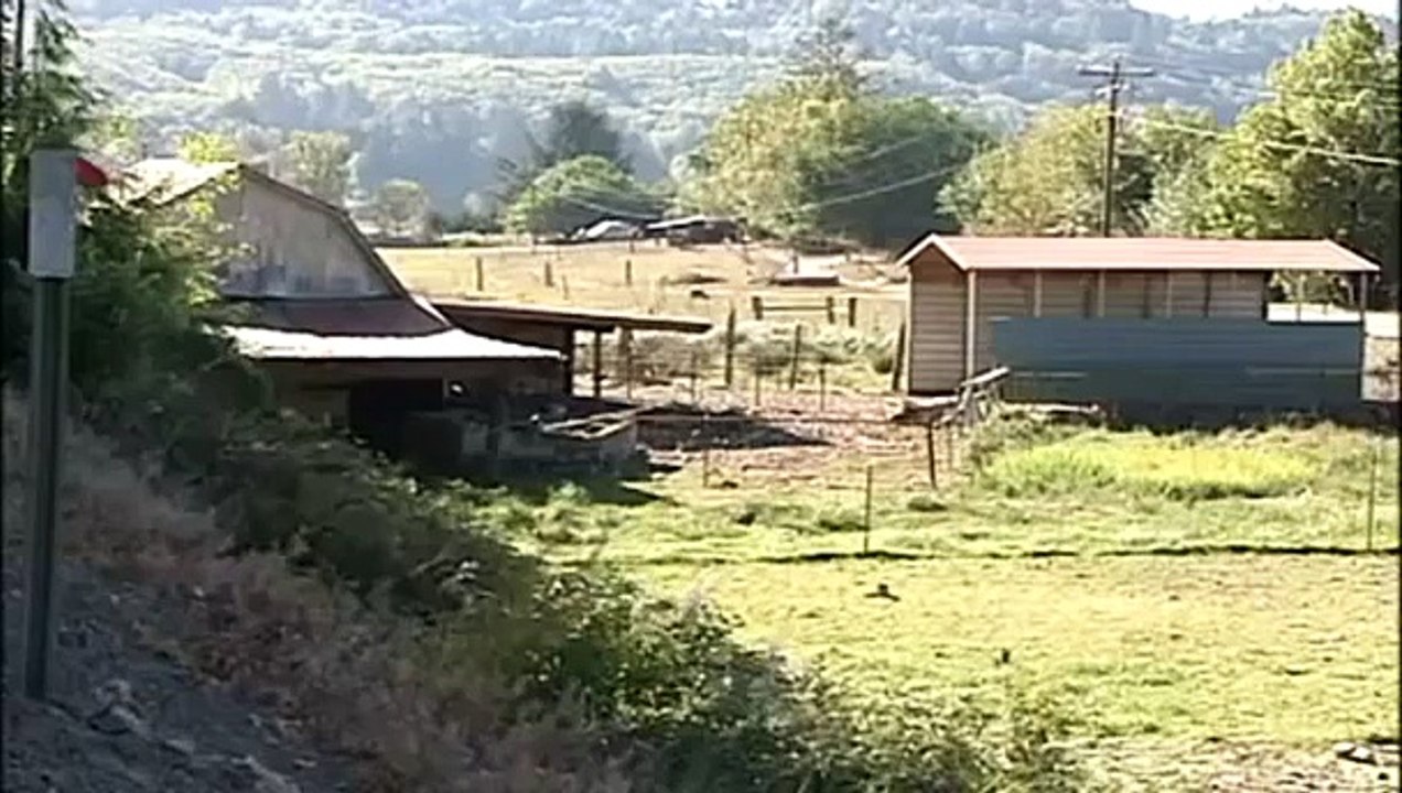 US Man Eaten by His Pigs; Body Parts Scattered Everywhere