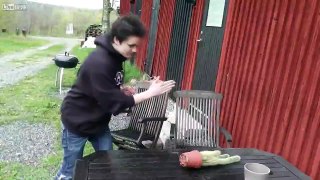 Juggalo Slaps A Cactus