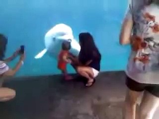 Beluga Whale Tries To Eat A Baby