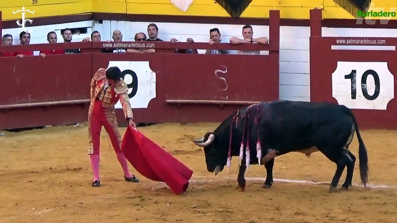 Algemesí 25 sep 2015