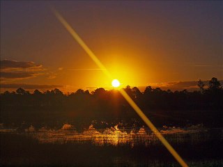 Culoe De Song - The Bright Forest (Original Mix)