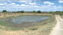 Seca prejudica a vida de quem vive da criação de peixes em Pombal