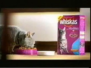 La souris qui était plus mailine que le chat