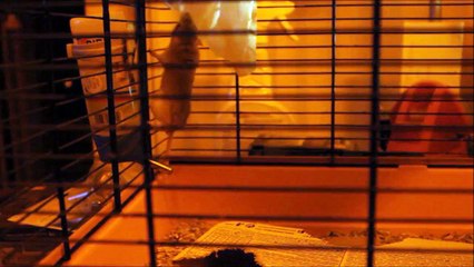 Slice - 25 septembre 2015