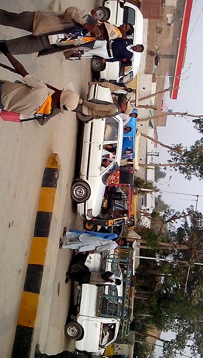 scout rally