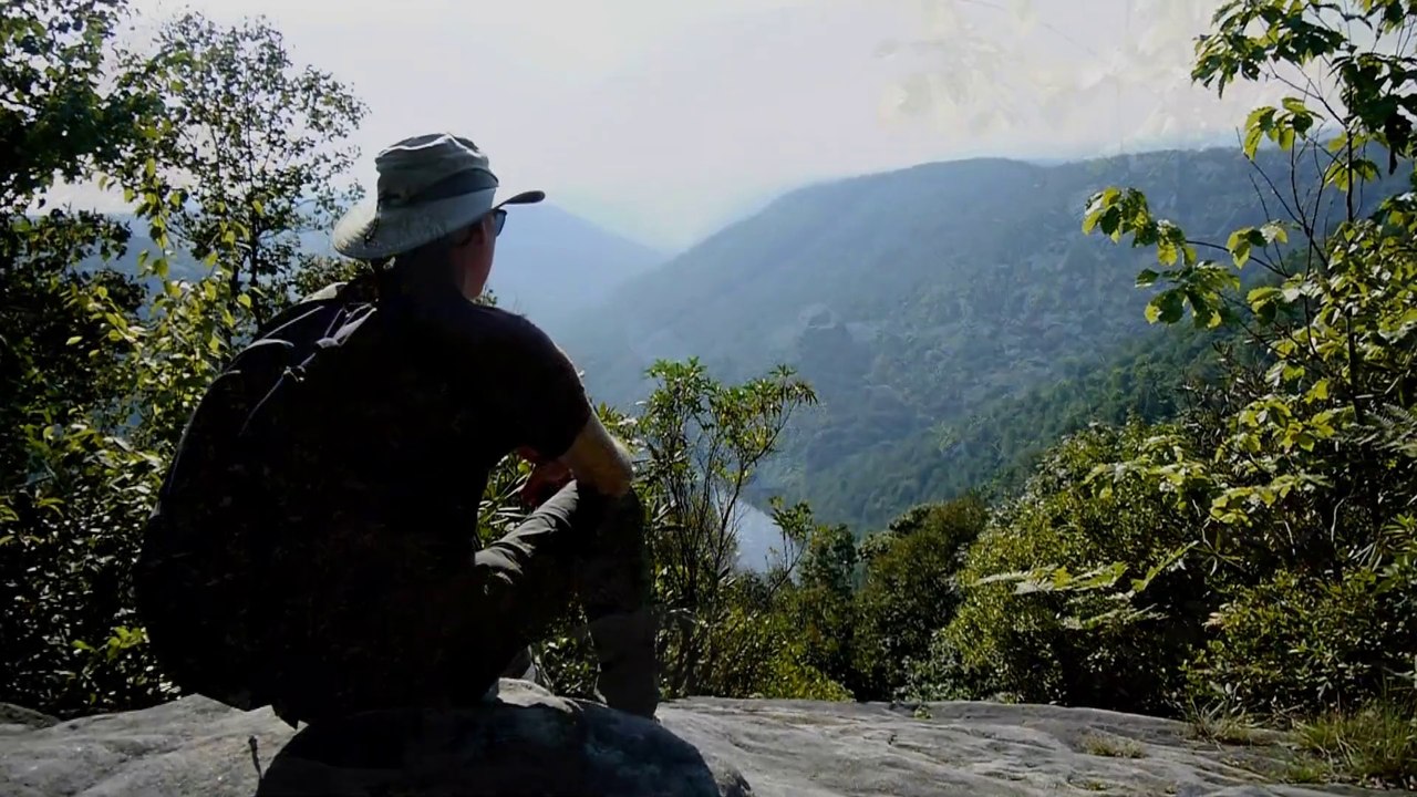Deep Forest Journey - Dolly Sods Wilderness - Snake Hill