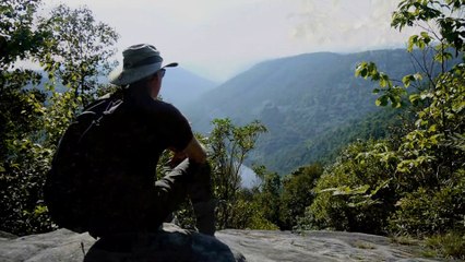 Deep Forest Journey - Dolly Sods Wilderness - Snake Hill