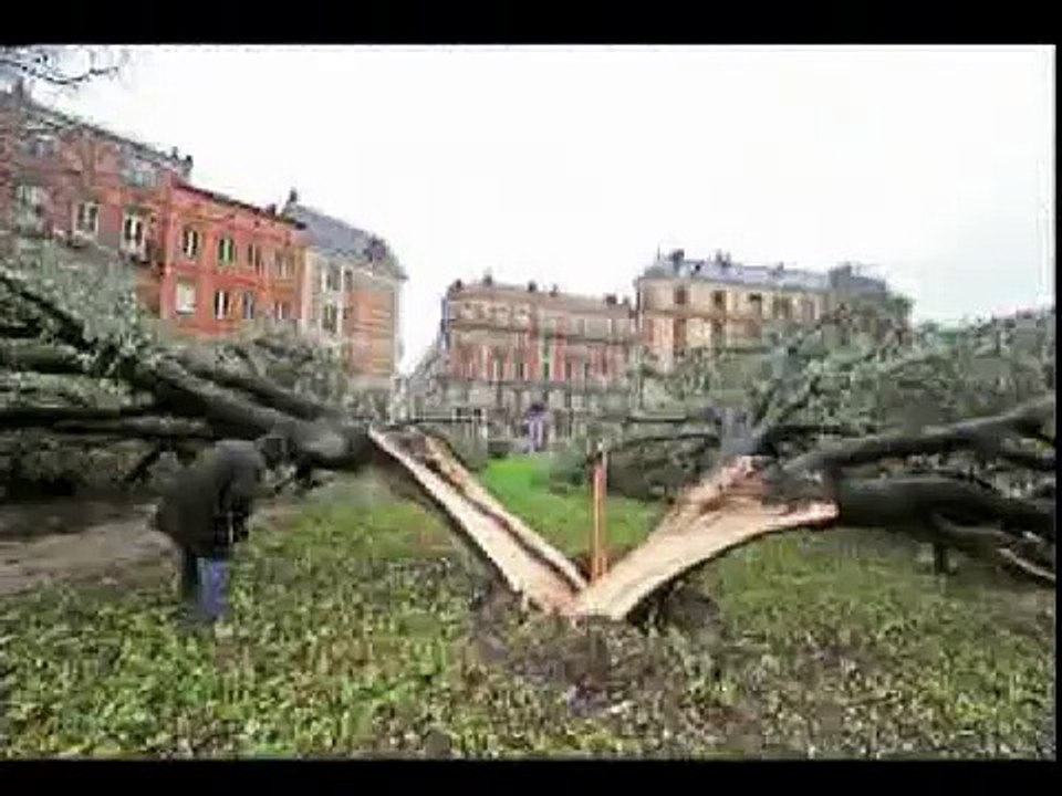 Dégâts de la tempête de janvier 2009