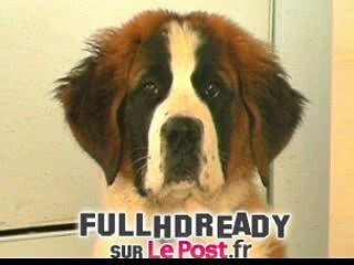 L’entreprise Edf ment-elle aux consommateurs ?