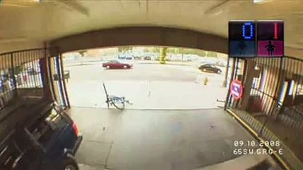 Hommes ou femmes : qui est le plus intelligent ?